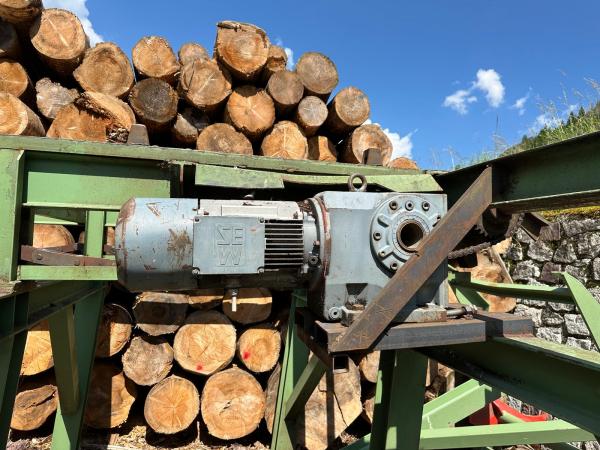 Carica tronchi - Bfb